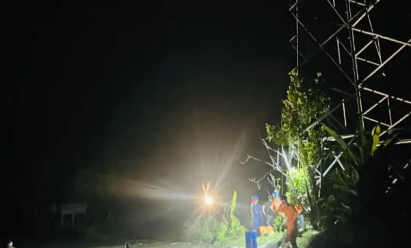 PLN